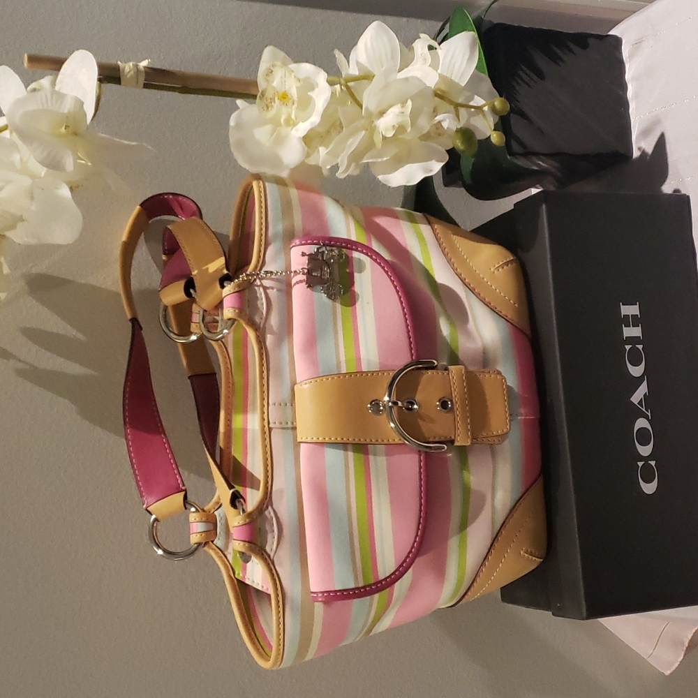 ❣️💫MARK DOWN💫❣️Coach stripe Bag
